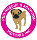 Pug Rescue and Adoption Victoria