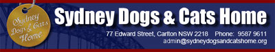 Sydney Dogs Home